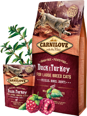 Carnilove duck and store turkey